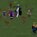 Minecraft as a Participatory Culture